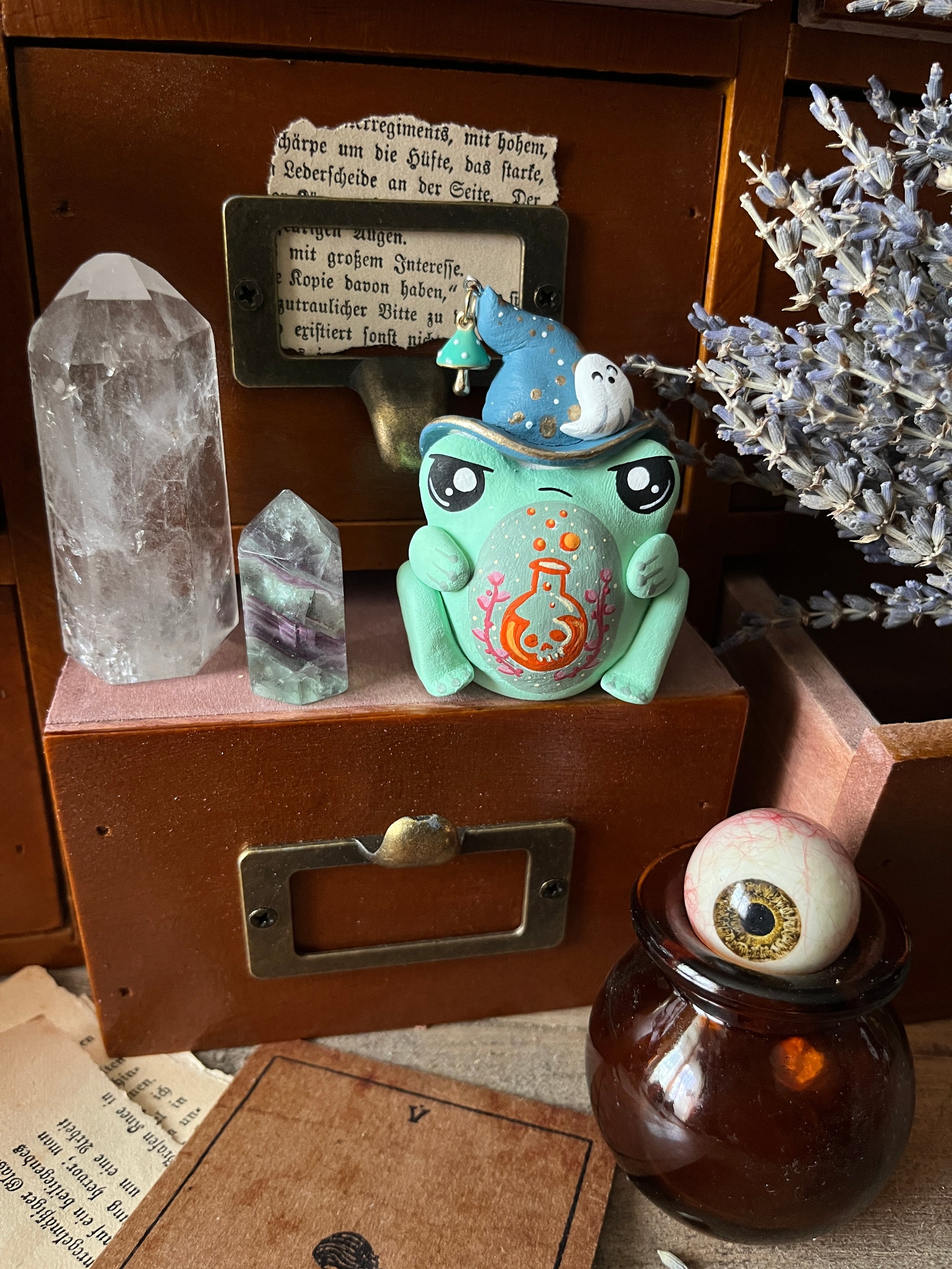 Poisonous Witch Frog Companion
