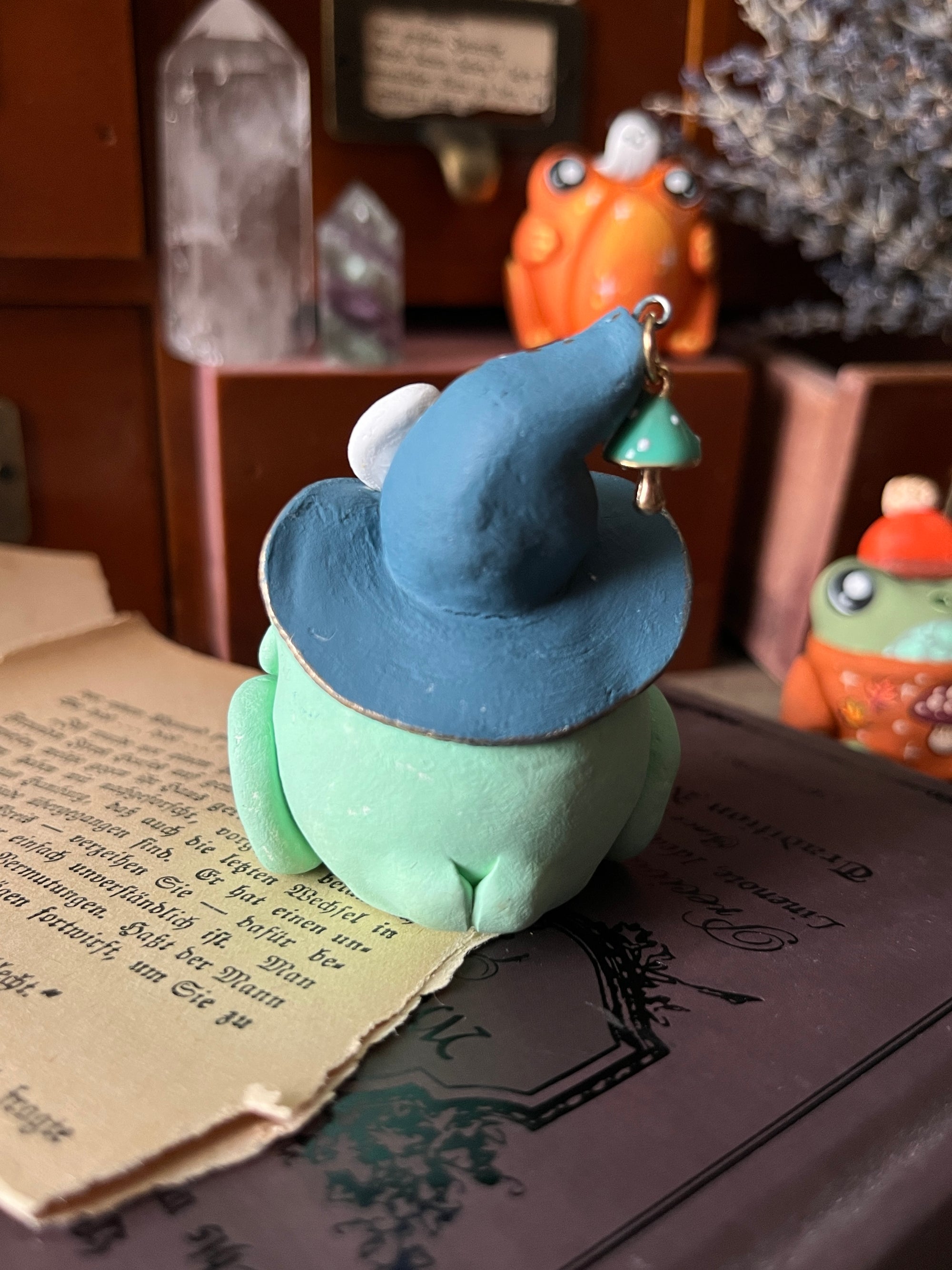 Poisonous Witch Frog Companion